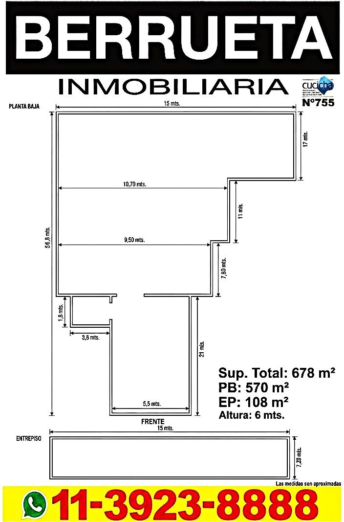 Imagen 10