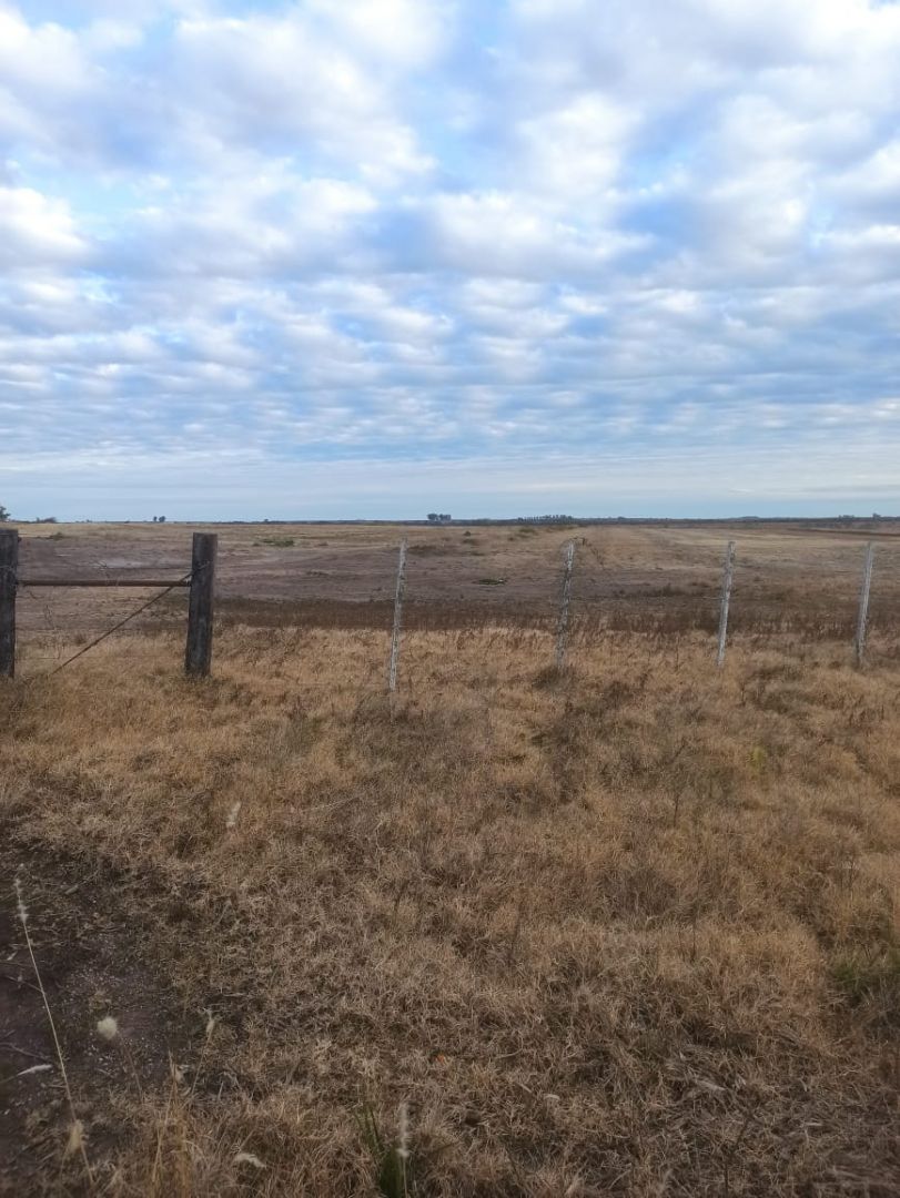Campo EN VENTA