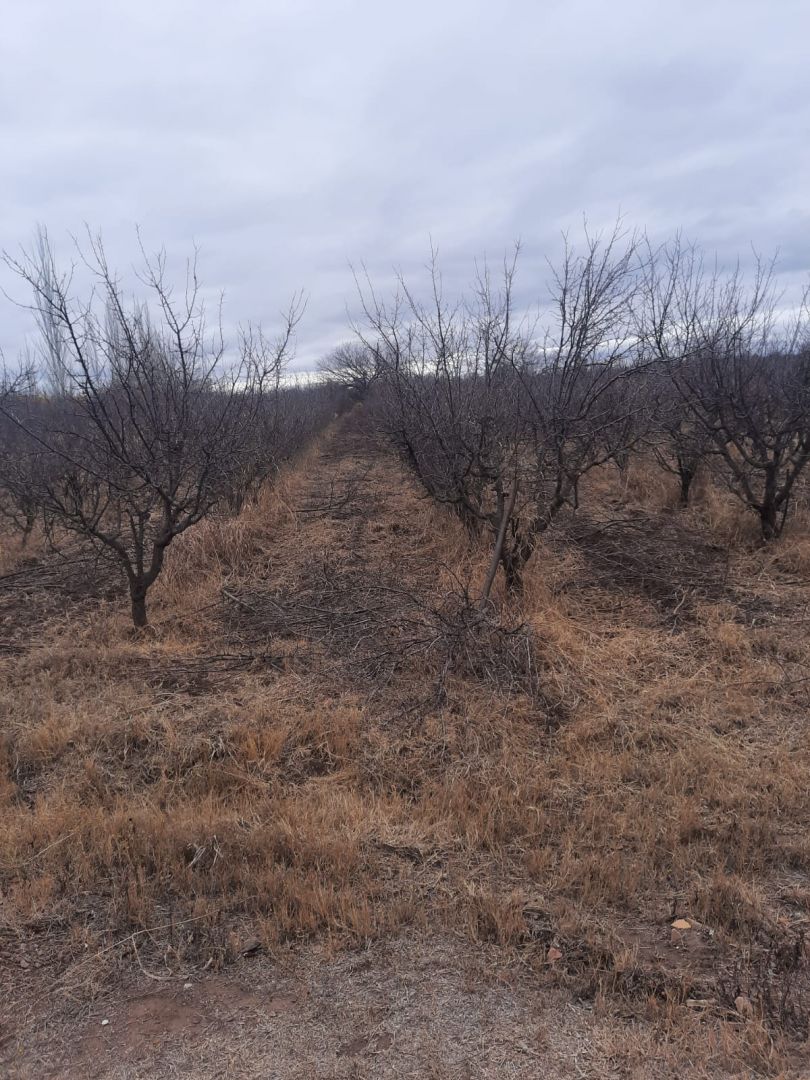 Campo en Venta en Junin, Buenos Aires Interior
