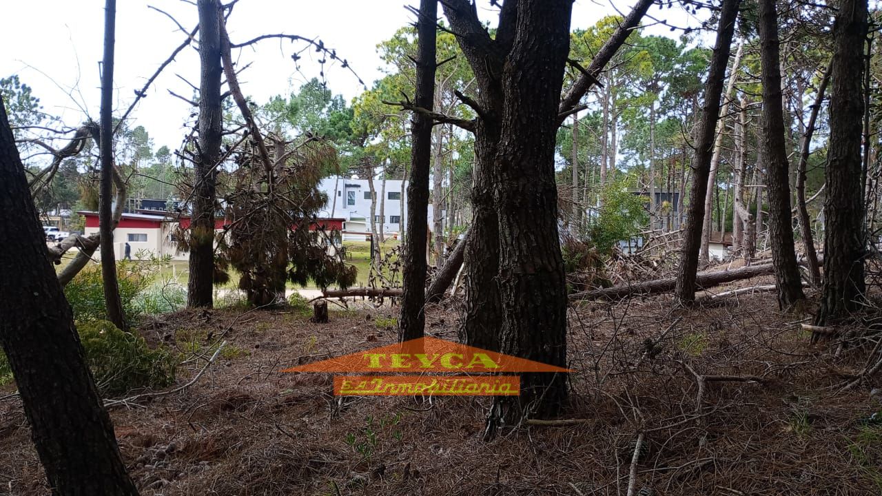 Lote en venta Norte 0 ambientes