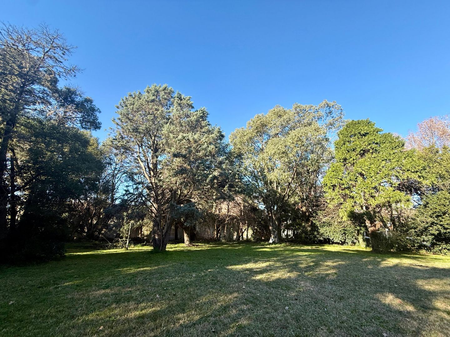 Lote EN VENTA