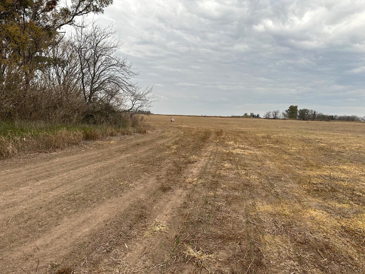 Campo en Venta en Arrecifes, Buenos Aires Interior