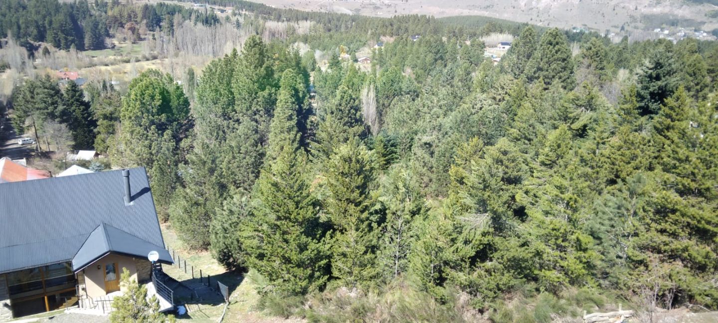 Lote en Venta en San Martin de los Andes, Neuquen