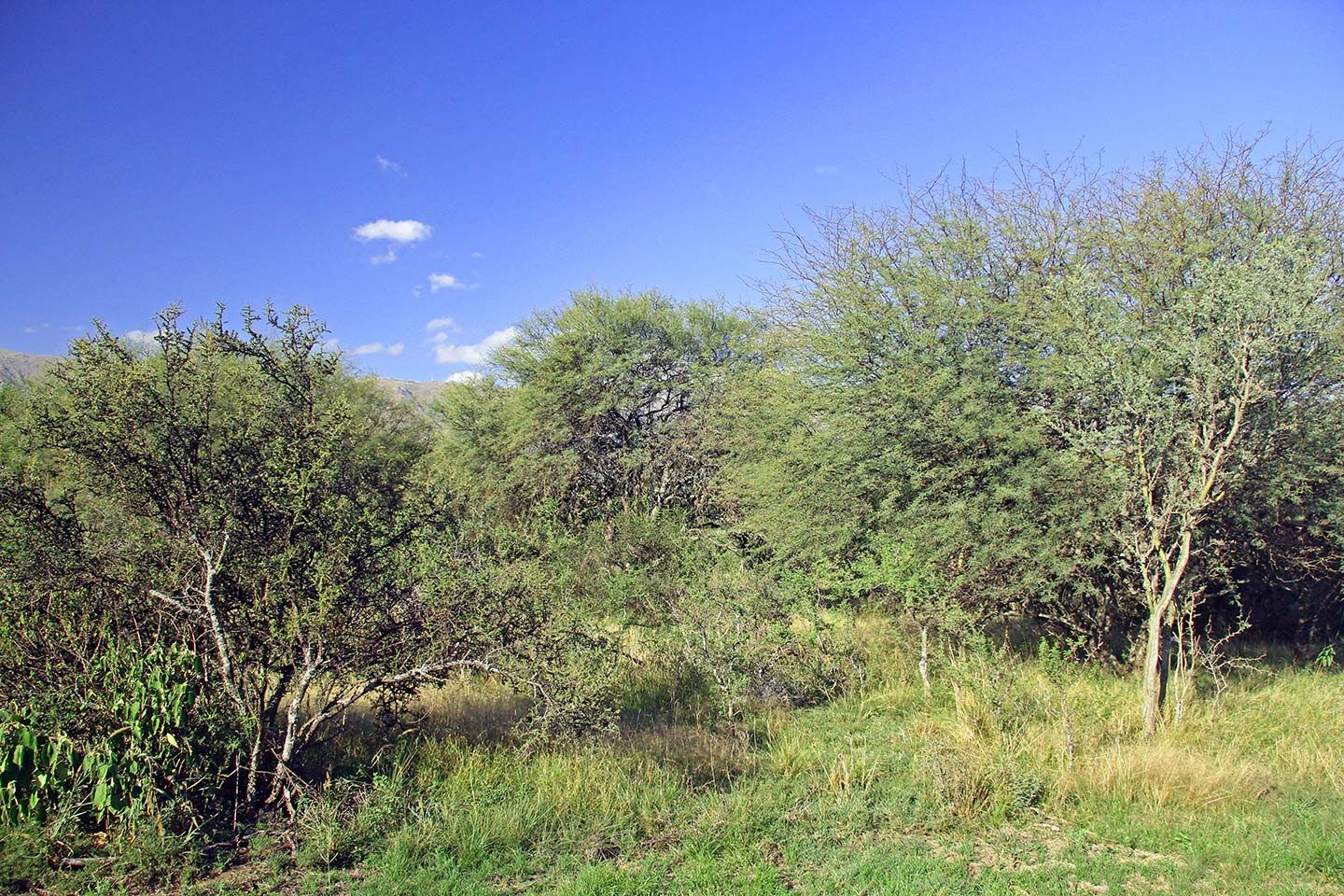 Lote EN VENTA