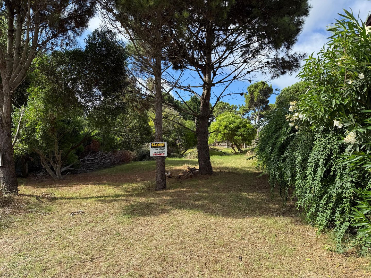 Lote EN VENTA