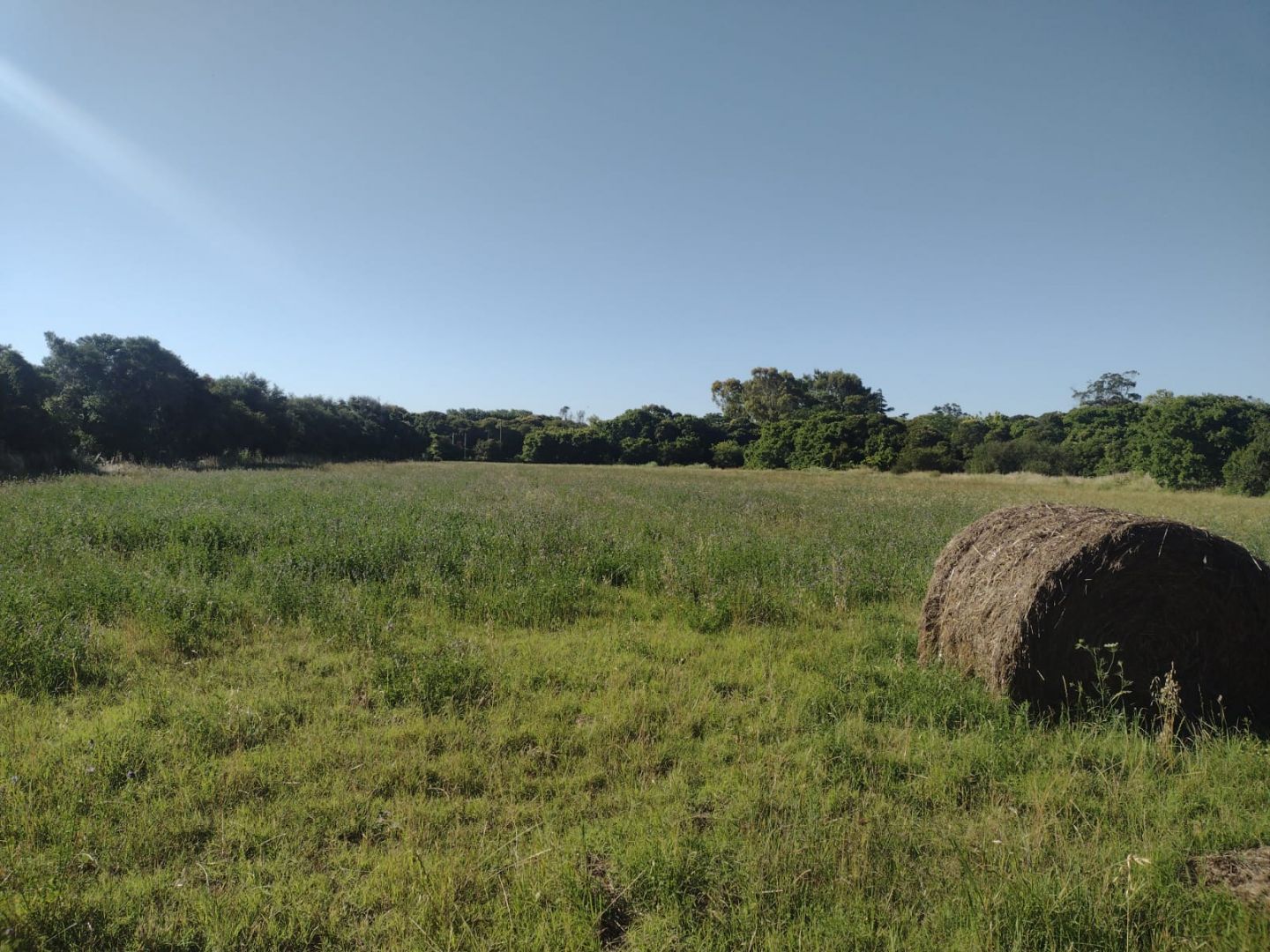 Lote EN VENTA