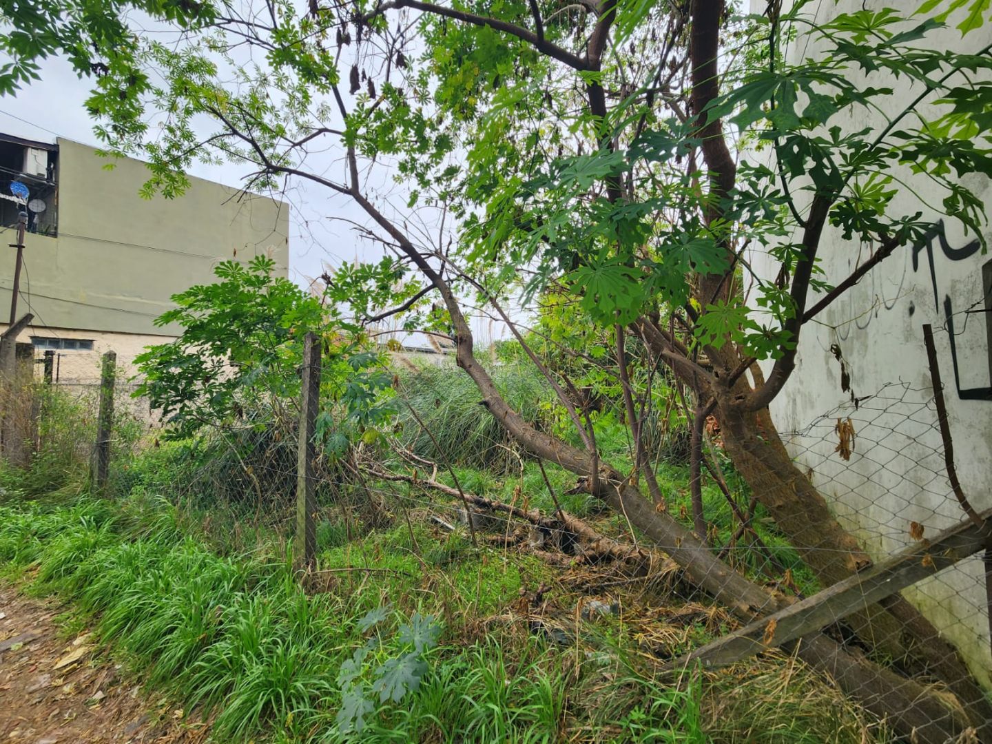 Lote EN VENTA