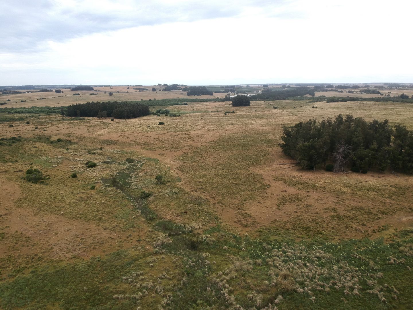 Campo EN VENTA
