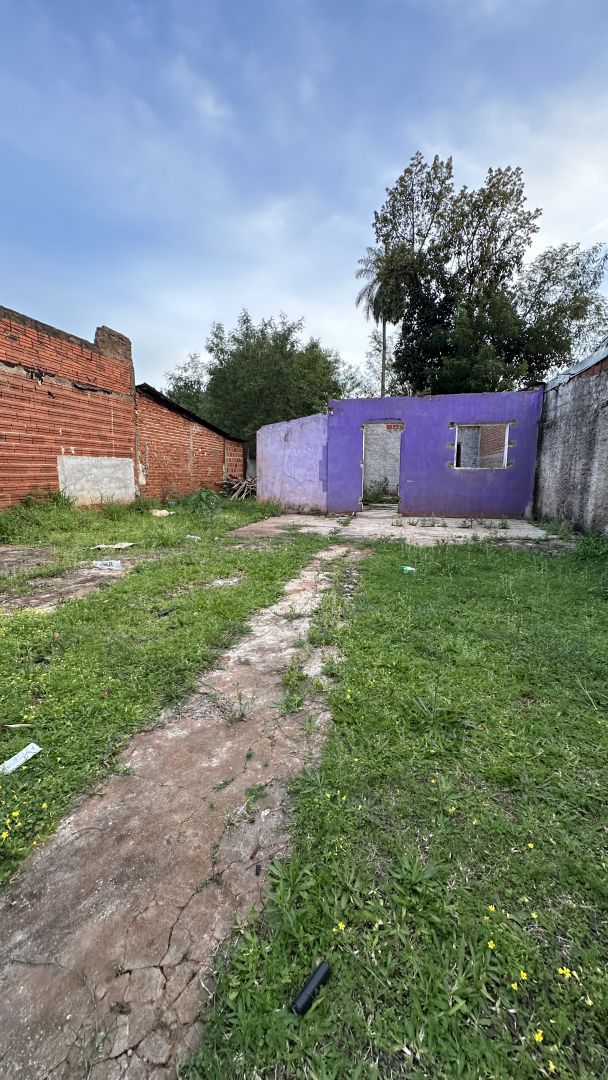 Imagen 6
