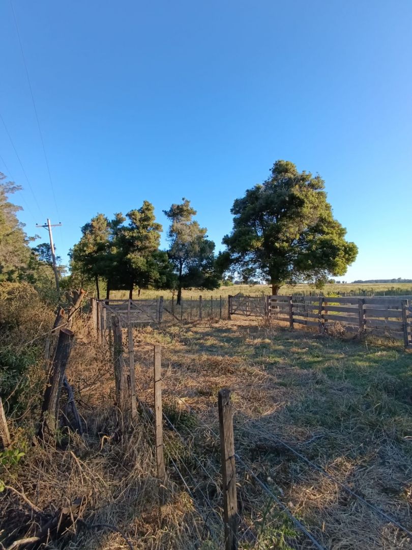 Campo EN VENTA