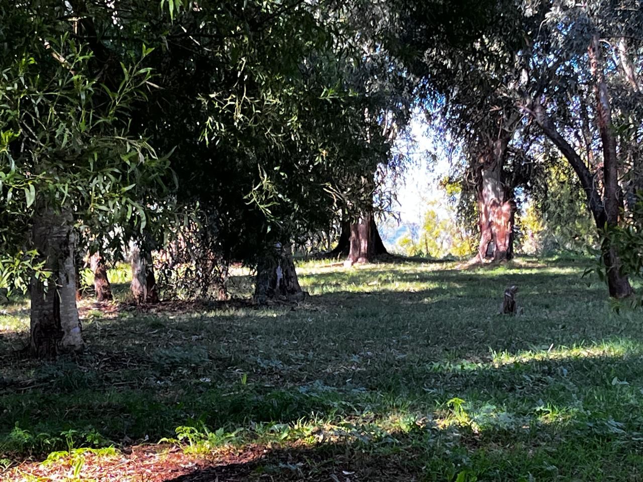 Lote EN VENTA