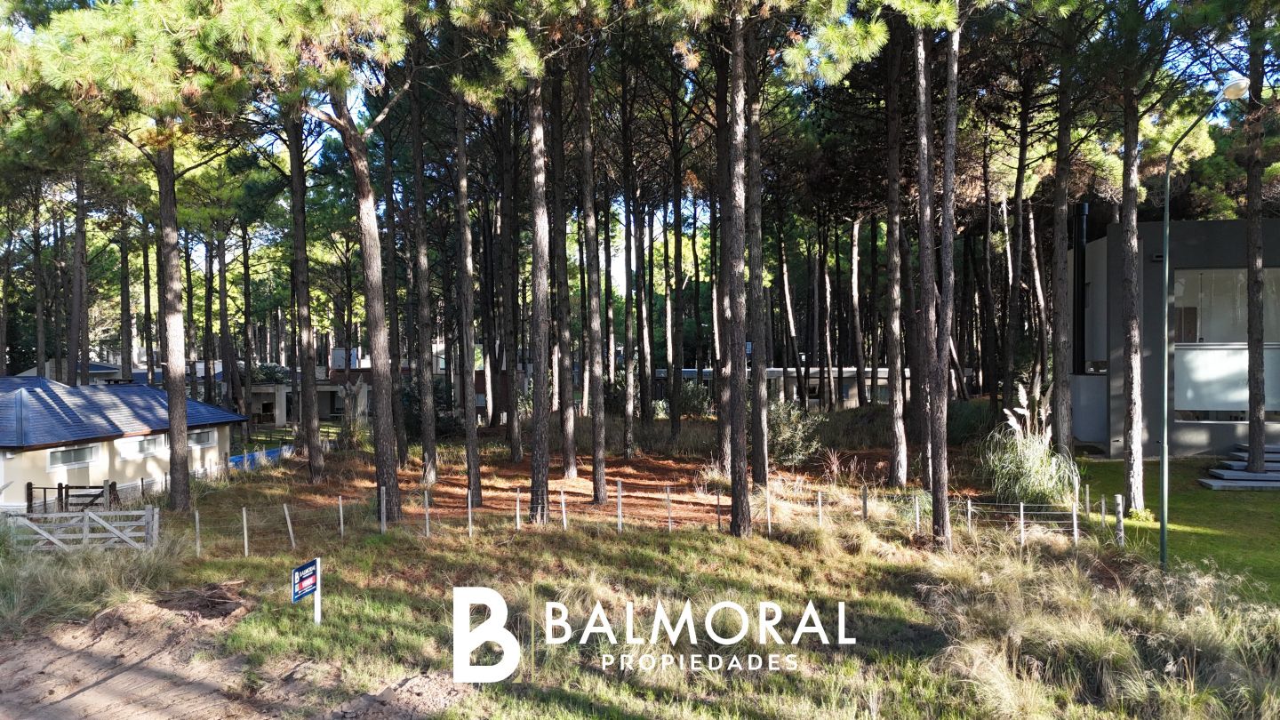 Lote EN VENTA