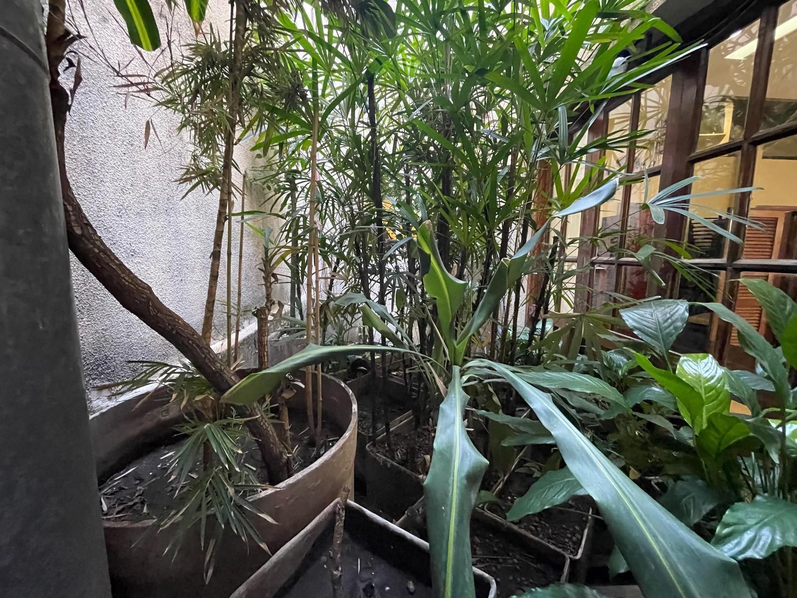 Local Comercial en Venta en Mataderos, Capital Federal