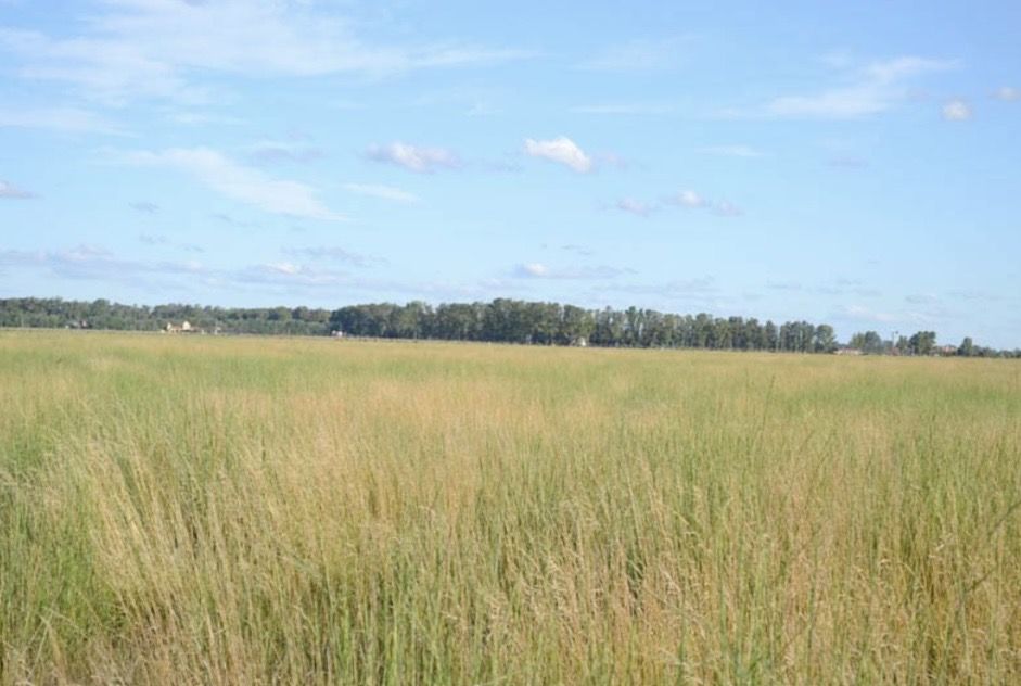 Campo EN VENTA