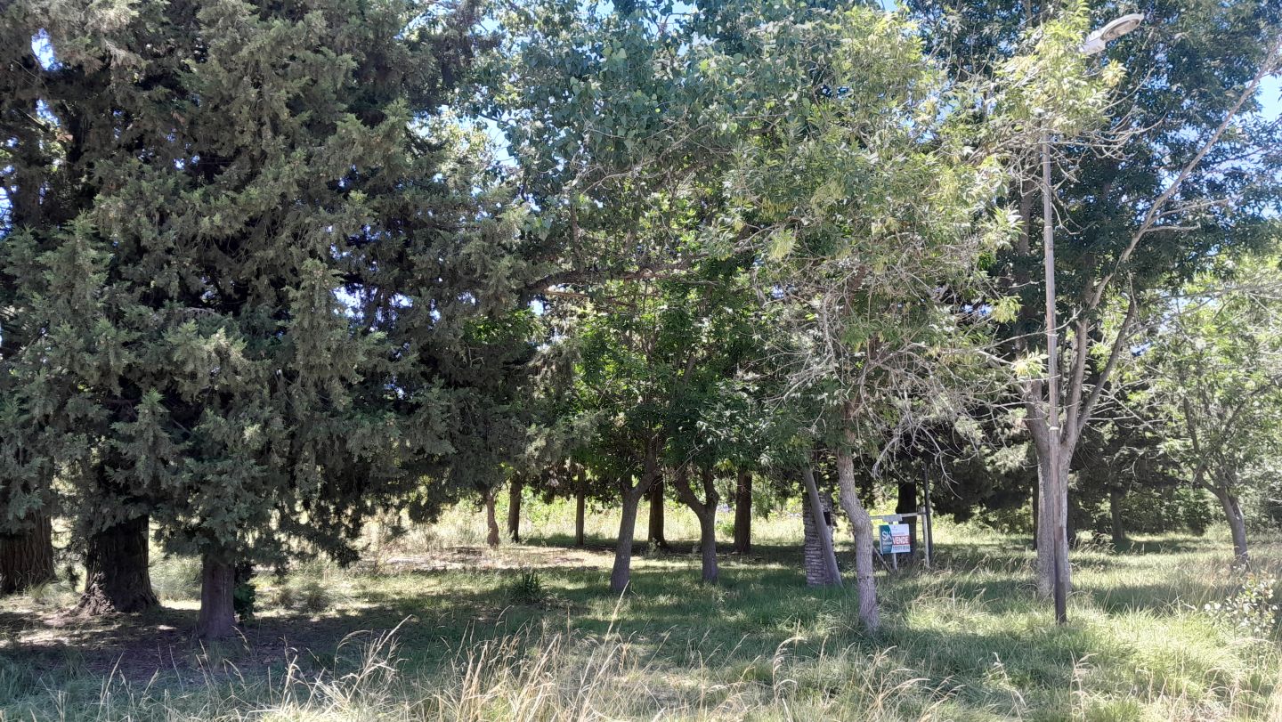 Lote en Venta en Punta Indio, Buenos Aires Interior