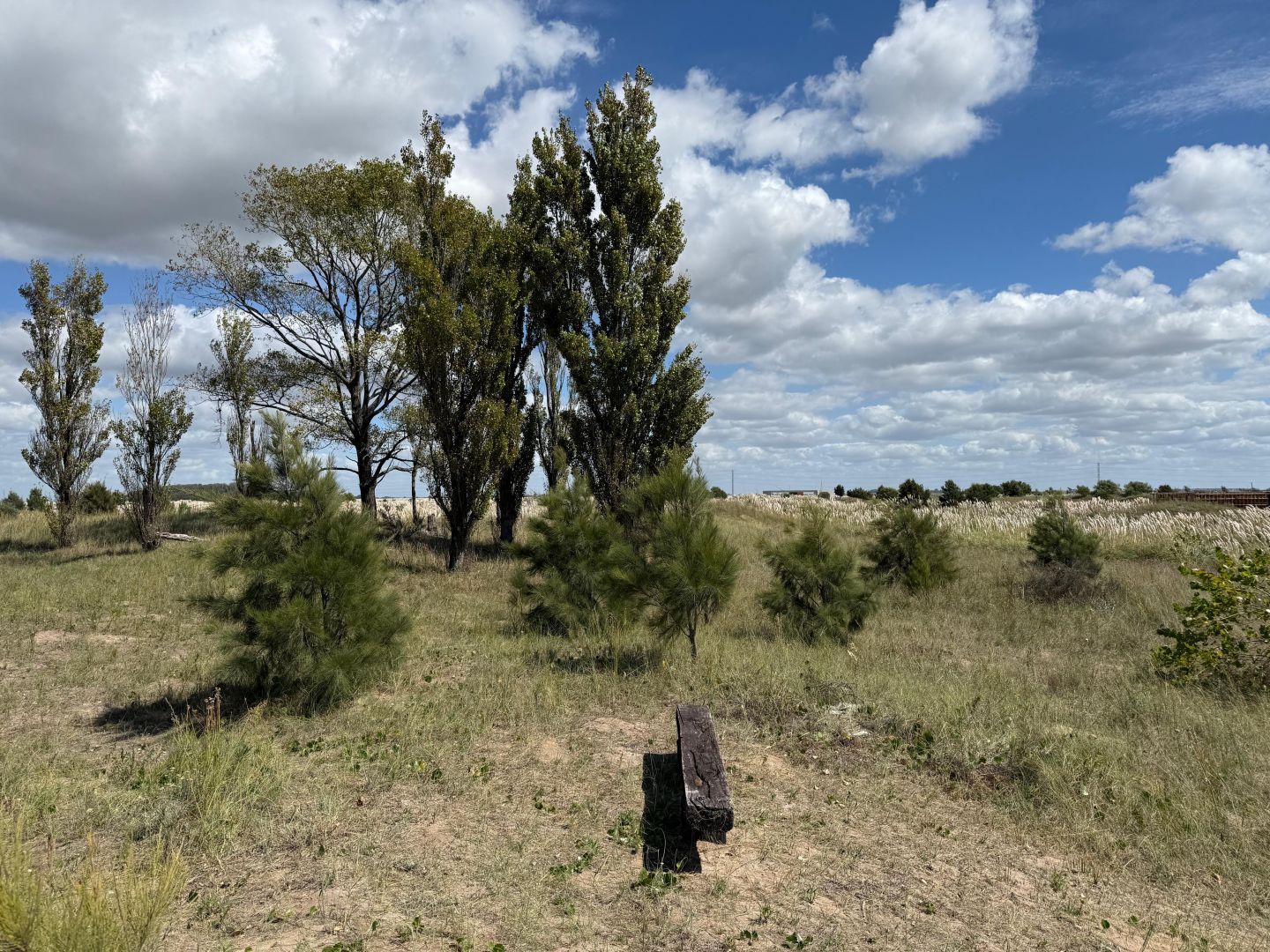 Lote EN VENTA