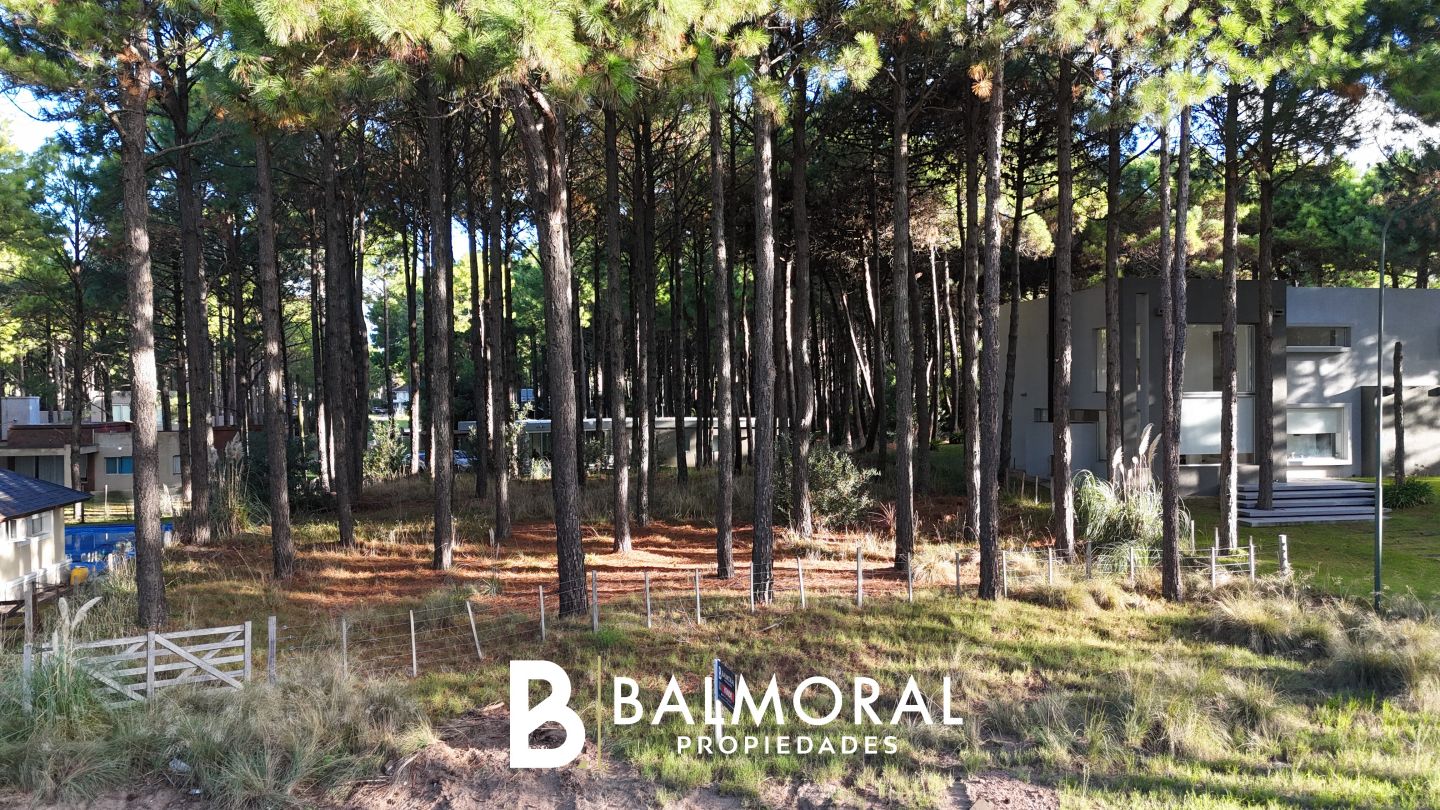 Lote EN VENTA