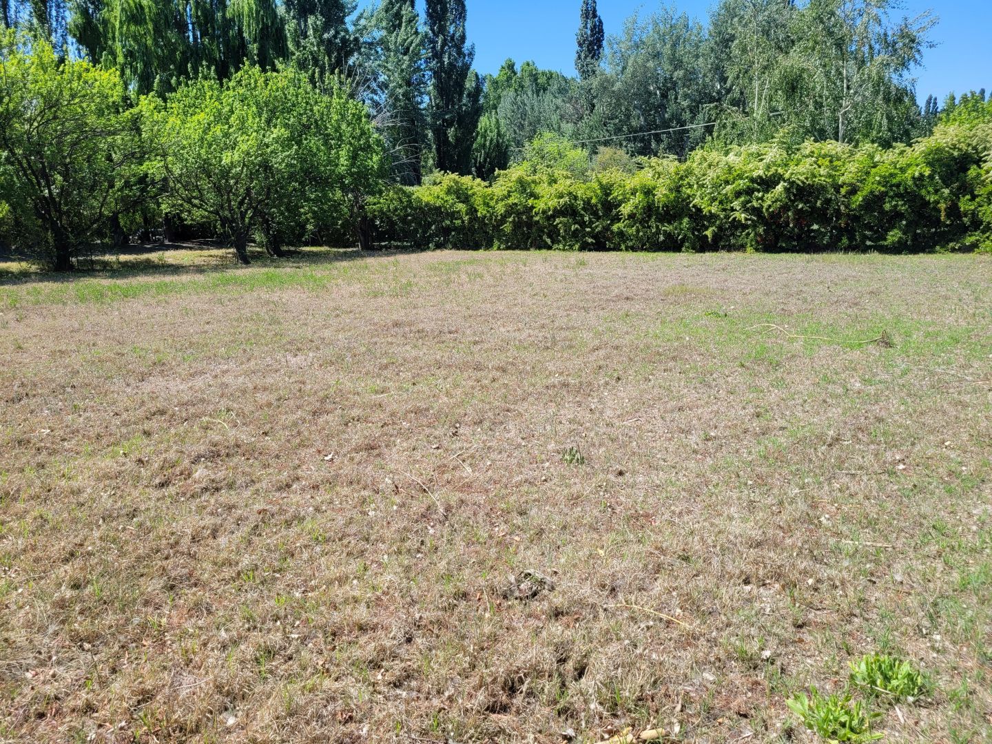 Lote EN VENTA