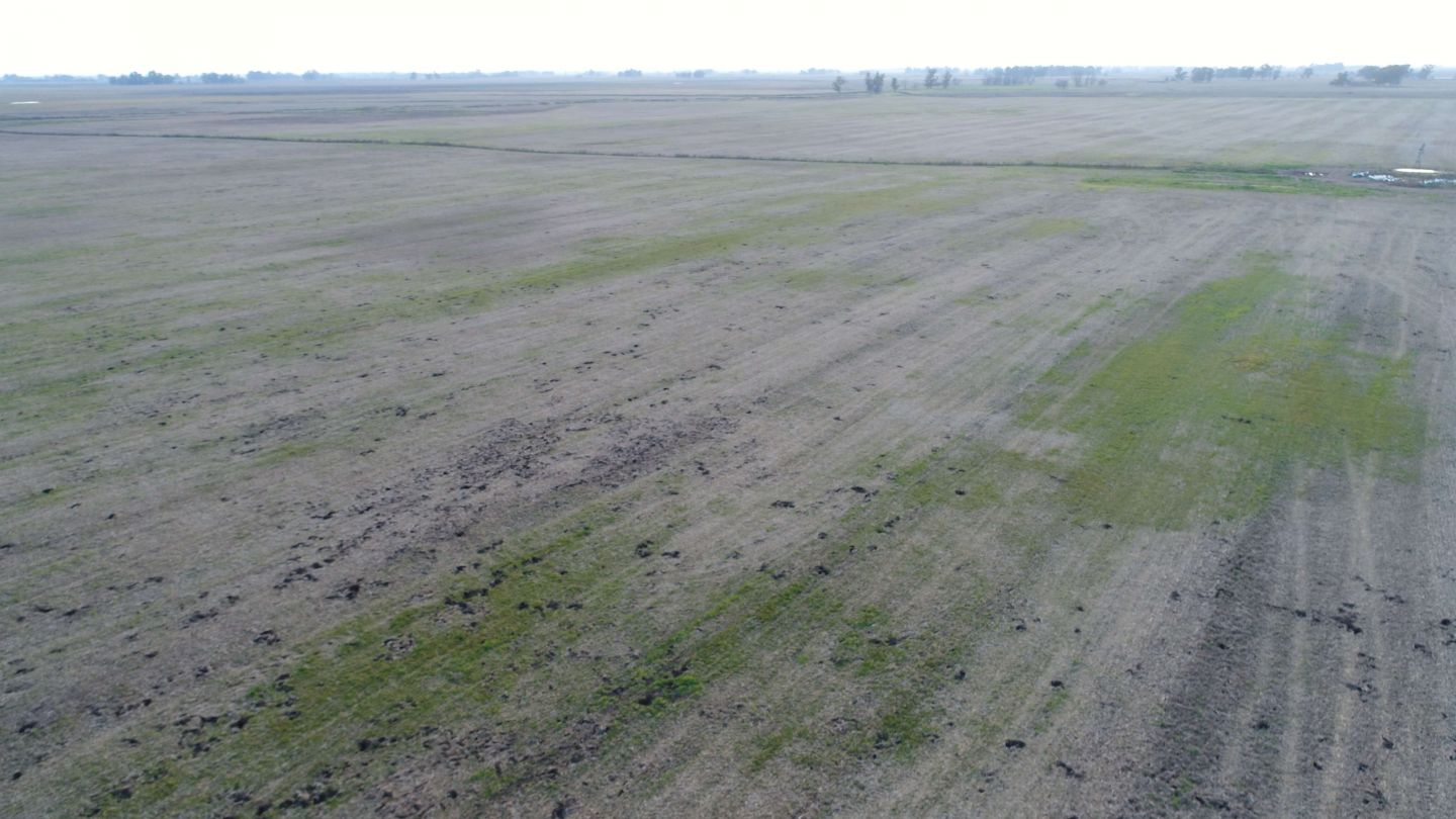 Campo EN VENTA
