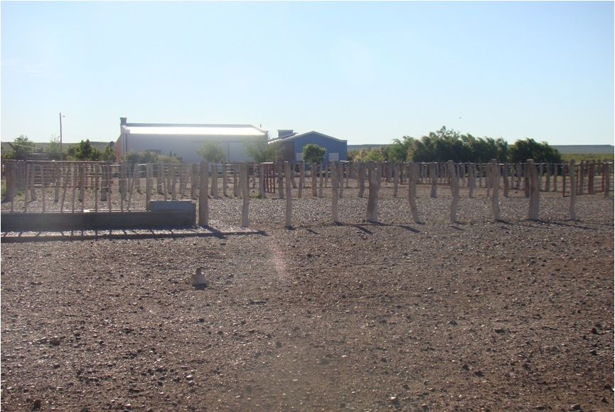 Campo EN VENTA