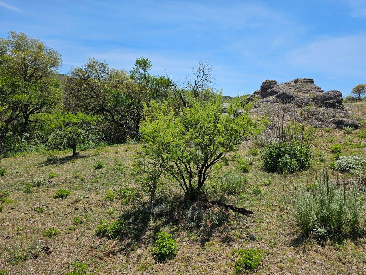 Lote EN VENTA