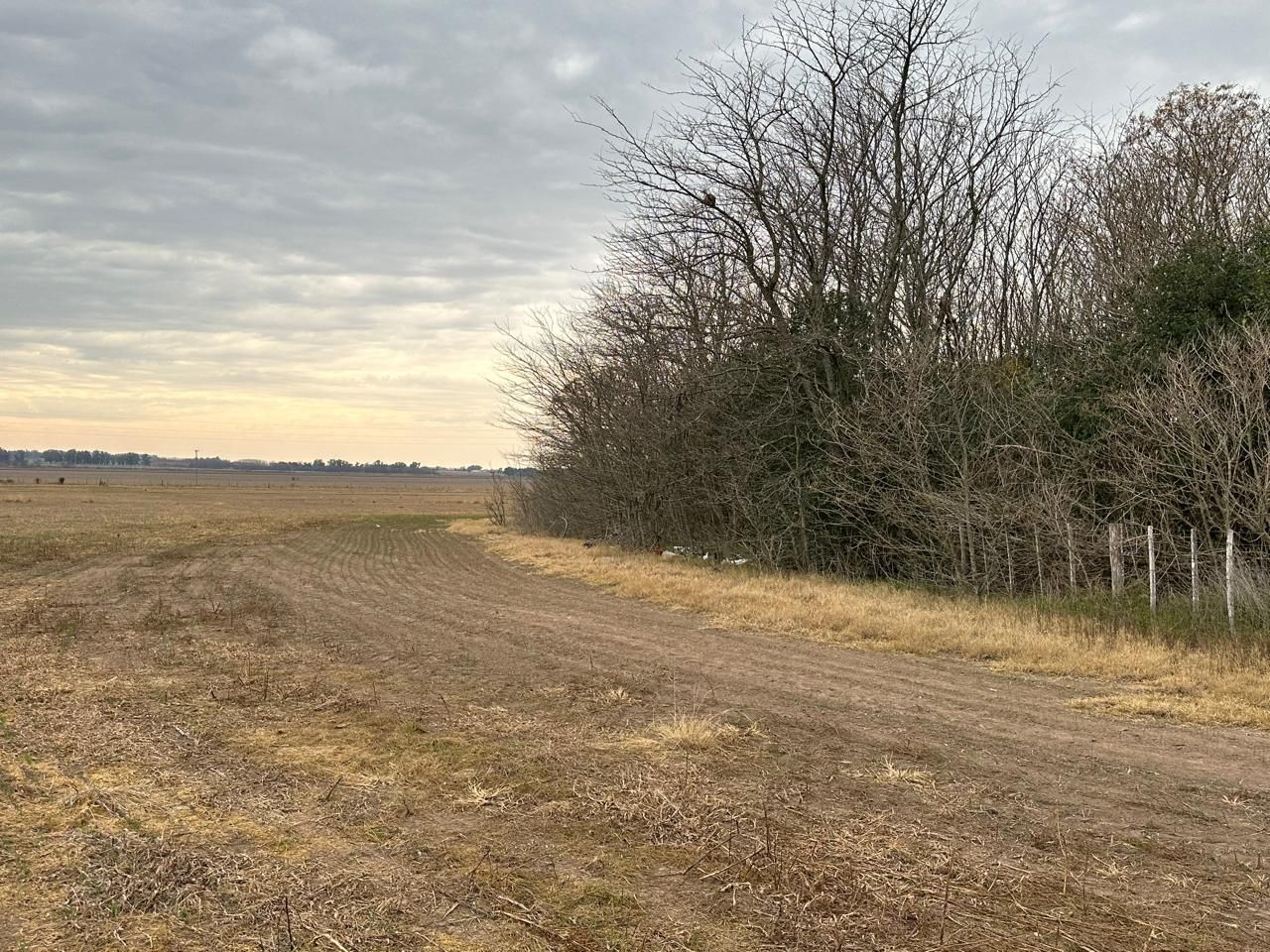 Campo en Venta en Arrecifes, Buenos Aires Interior