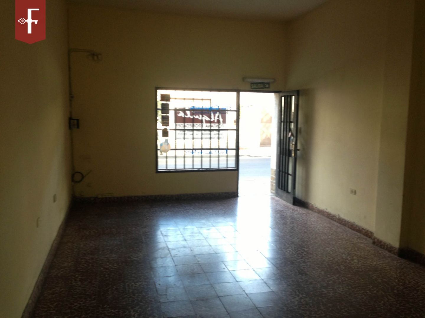 Imagen 2