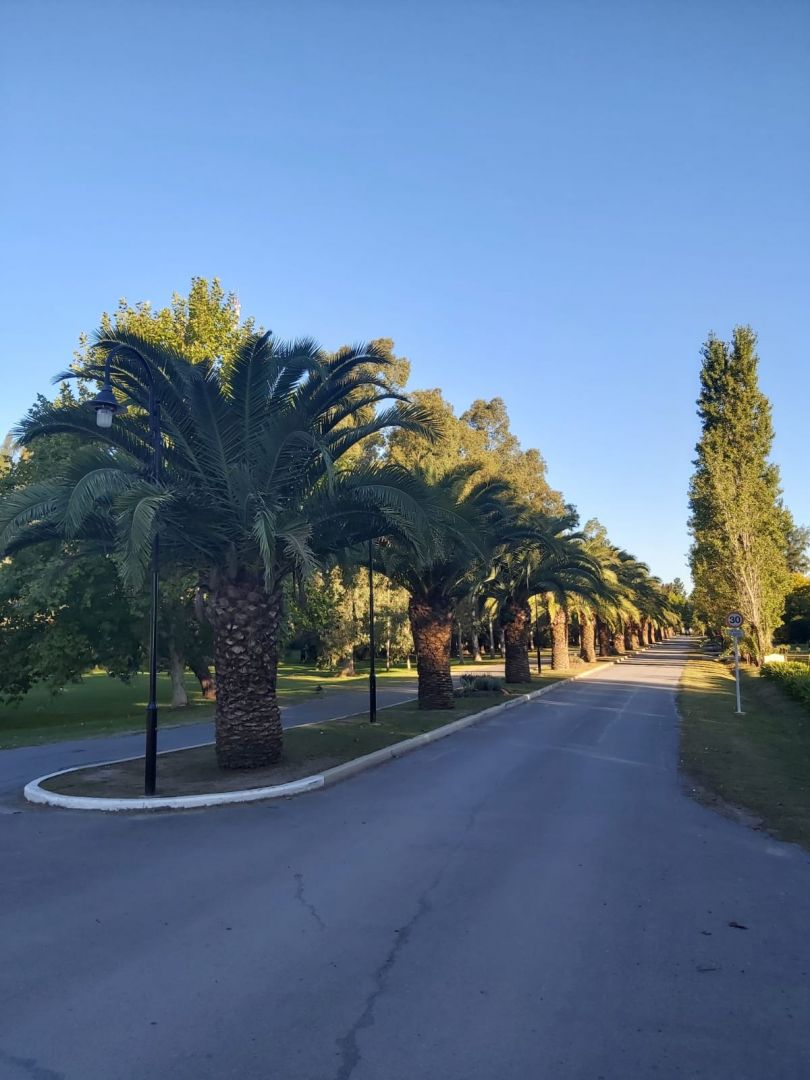 Lote EN VENTA