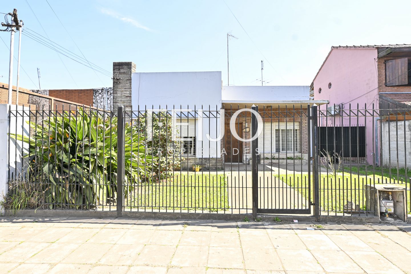 Imagen 6