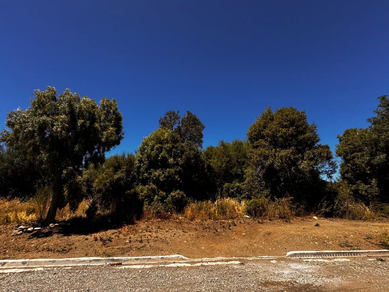 VENTA DE LOTE EN San Carlos de Bariloche - Lago Moreno Este - 7