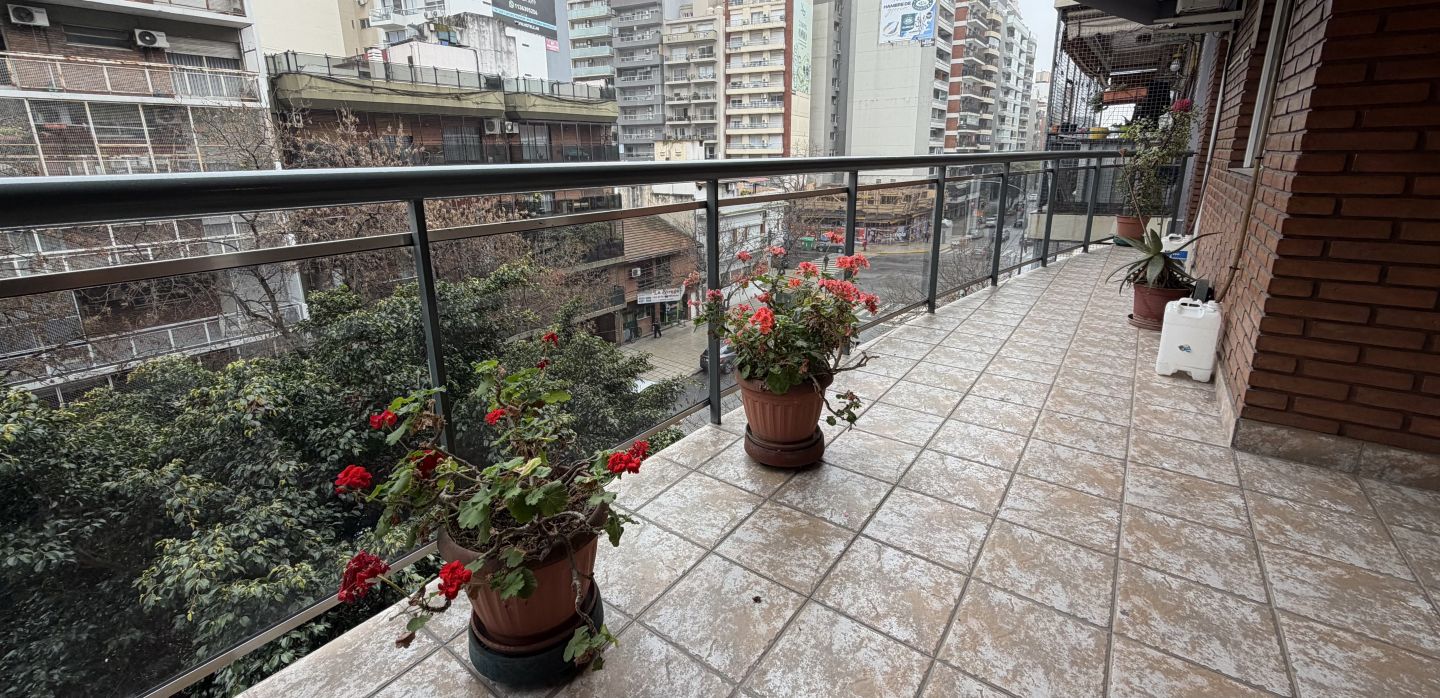 Imagen 5