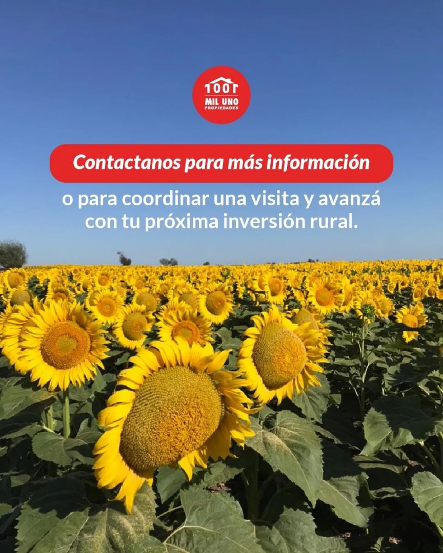 VENTA DE DEPARTAMENTO EN Capital Federal - Belgrano - 14