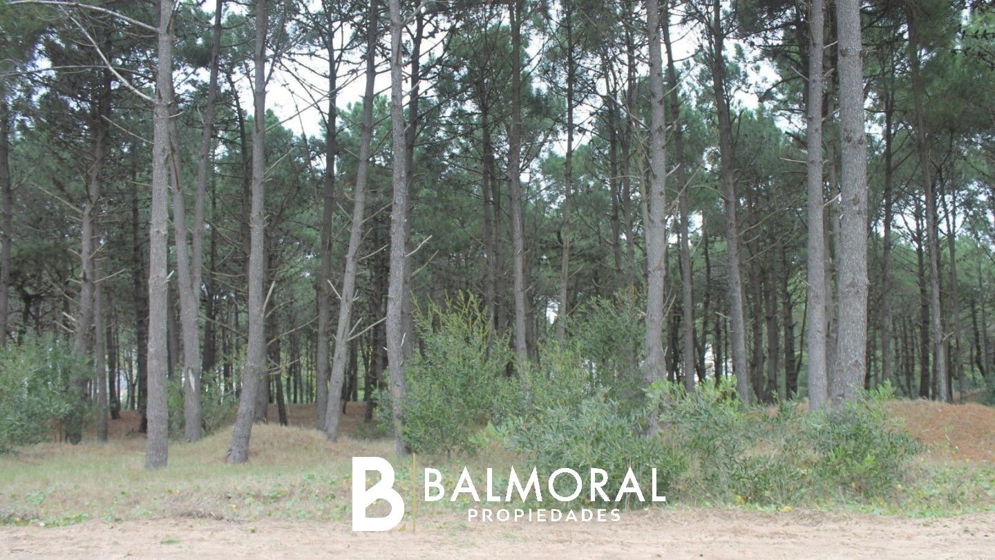 Lote EN VENTA
