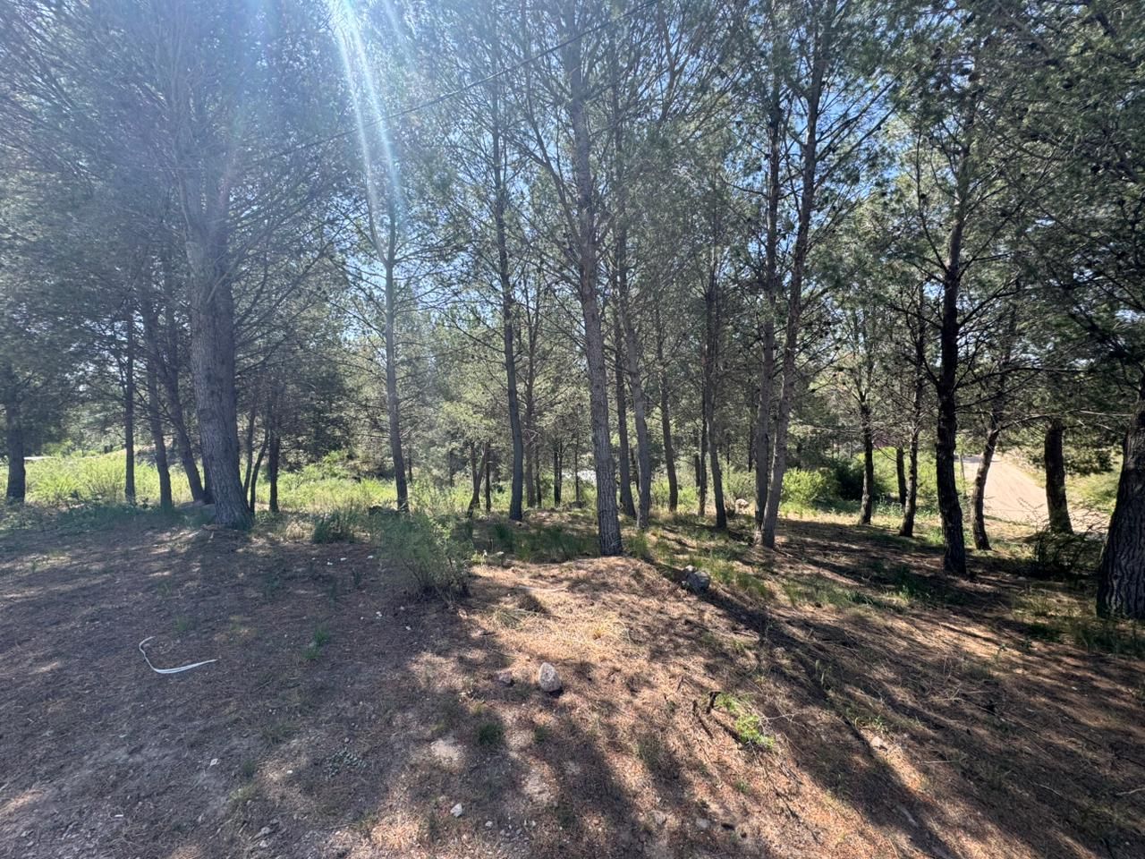 Lote EN VENTA