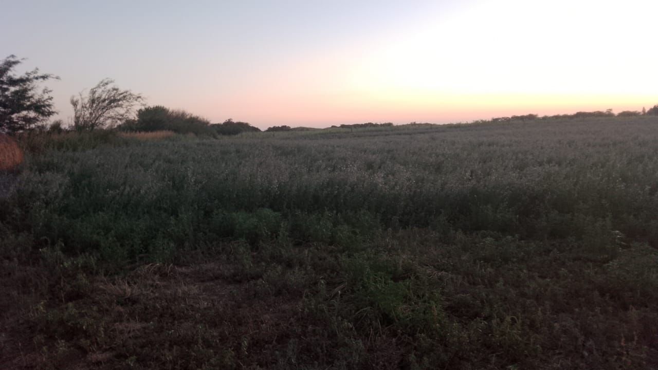 Campo EN VENTA
