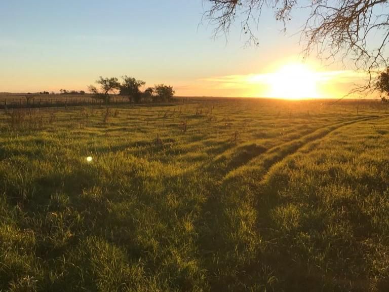 Campo EN VENTA