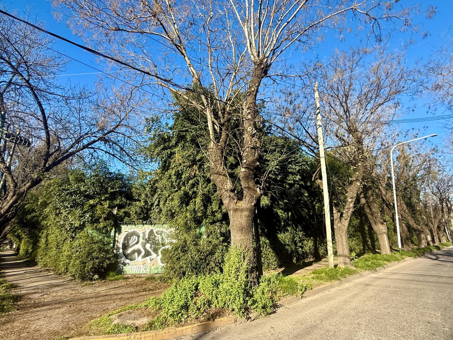 Lote EN VENTA