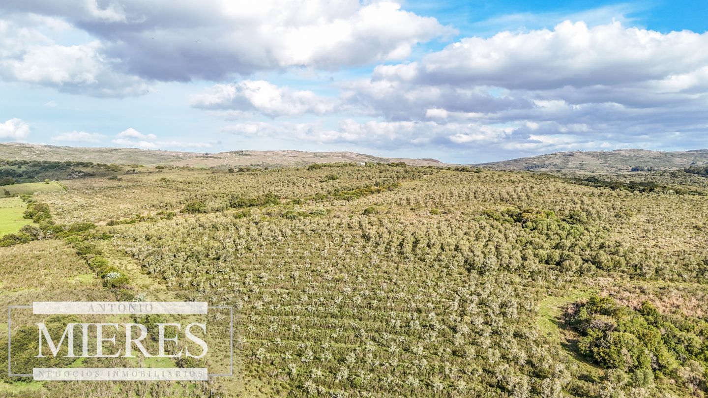 Campo EN VENTA