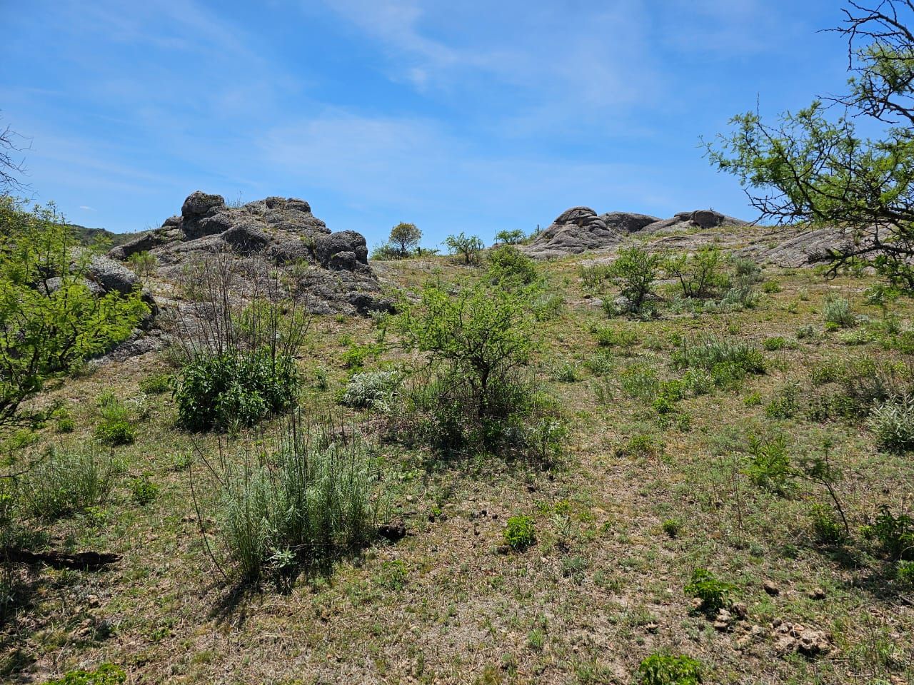 Lote EN VENTA