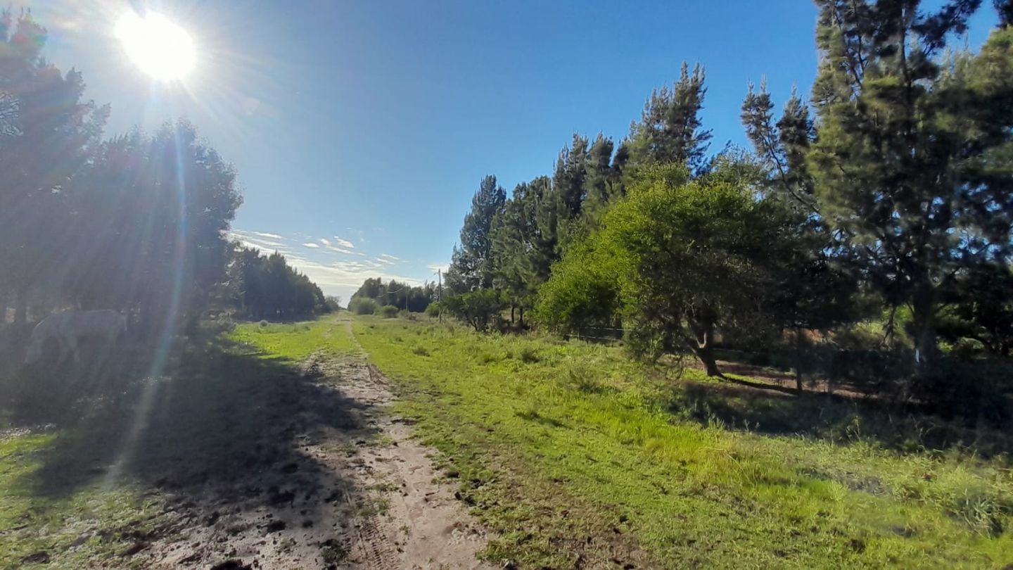 Lote en Venta en Punta Indio, Buenos Aires Interior