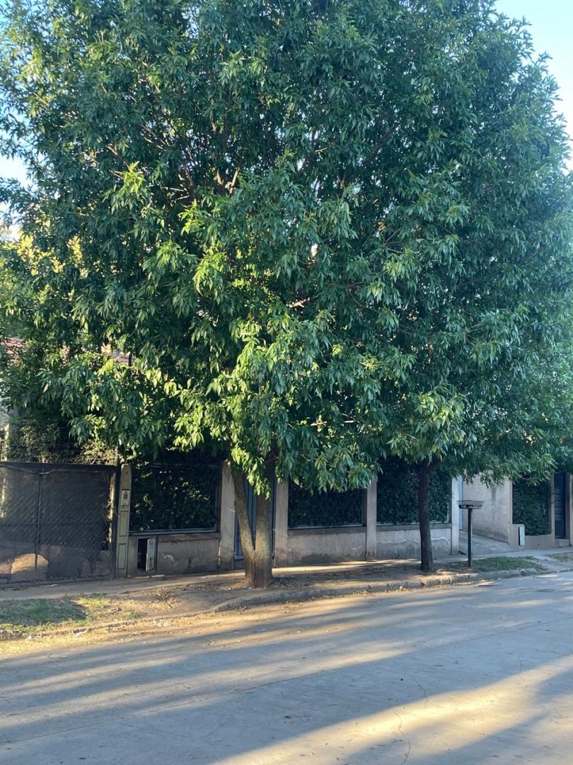 VENTA DE CASA EN Juana Koslay - 54 VIVIENDAS antes de Barrio Los Eucaliptos - 3