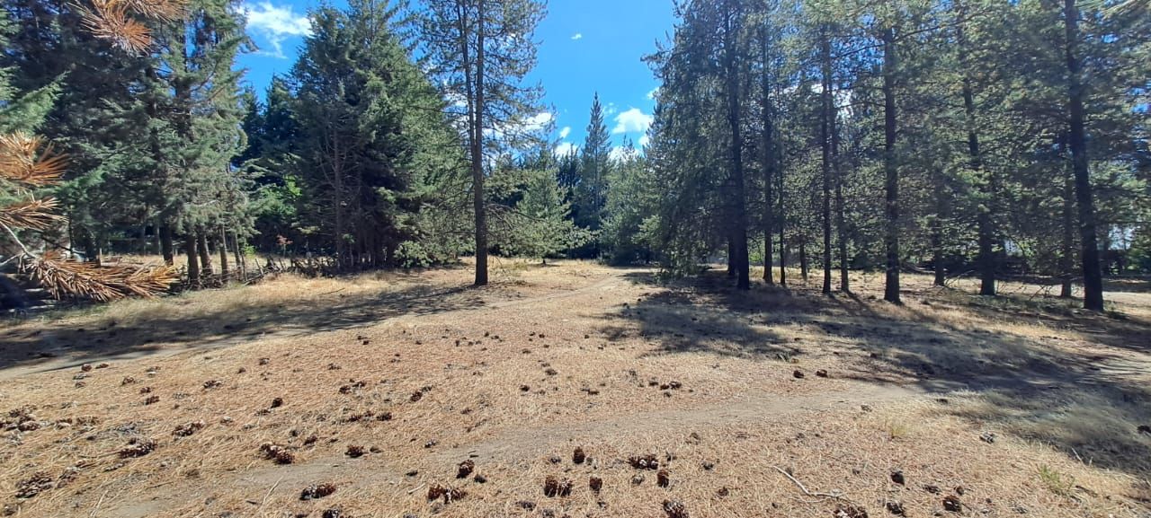VENTA DE LOTE EN Esquel - Villa Ayelen - 3