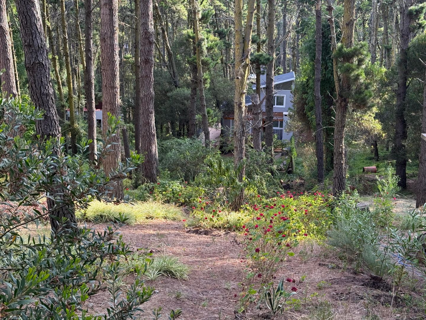 VENTA DE LOTE EN Mar Azul - 4