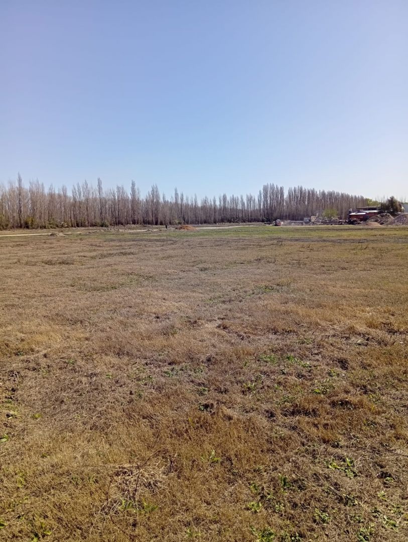 Lote en Plottier, Neuquén — foto 11