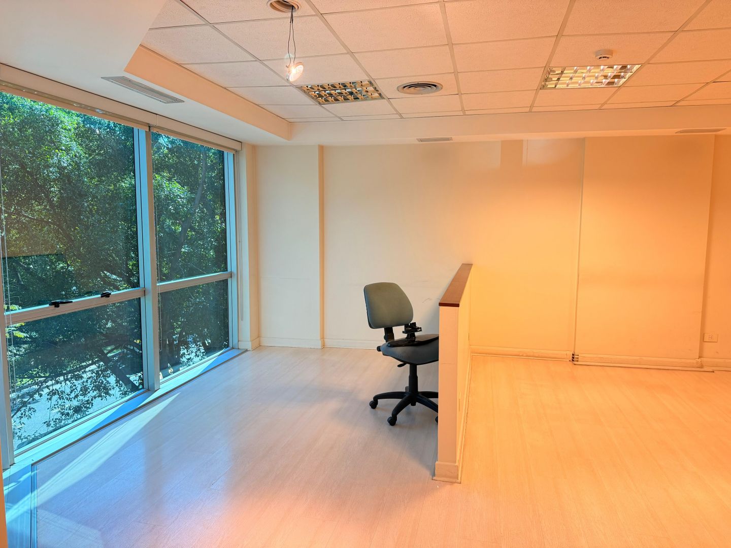 ALQUILER DE OFICINA EN Centro / Microcentro - 15