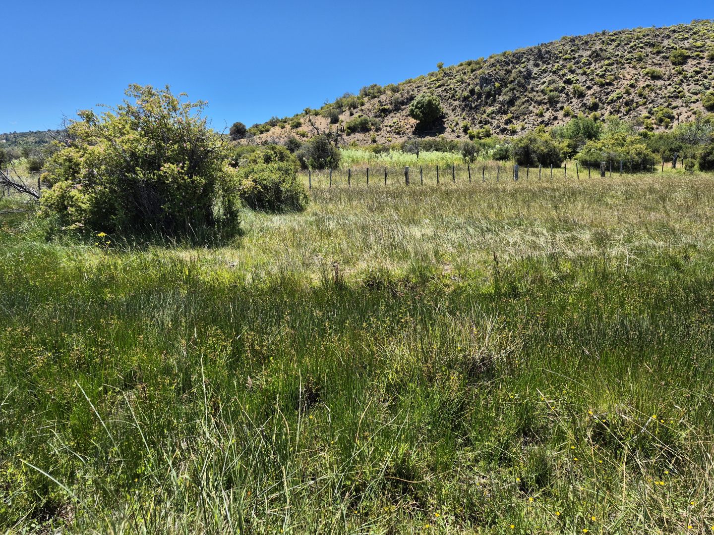 VENTA DE CAMPO EN Cholila - 24