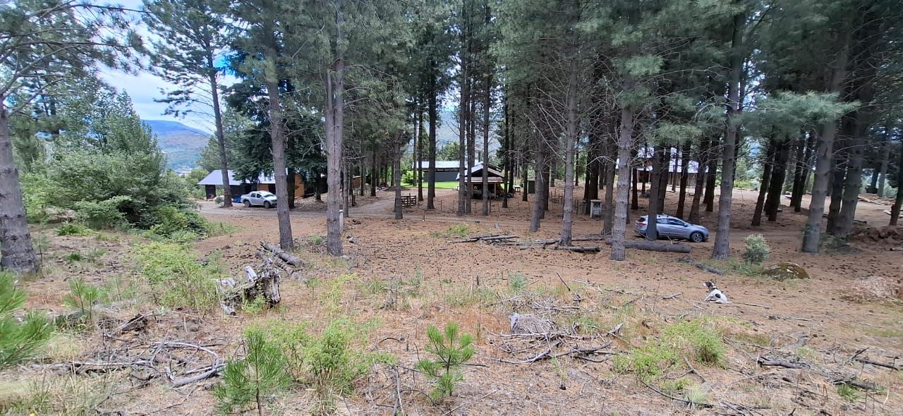 Lote en Venta en Lacar, Neuquen