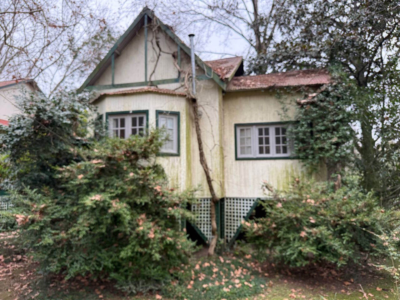 Casa en La Flauta Magica