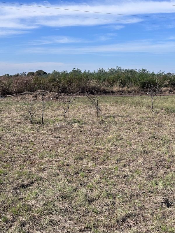 Lote en venta Padre Mujica 0 ambientes