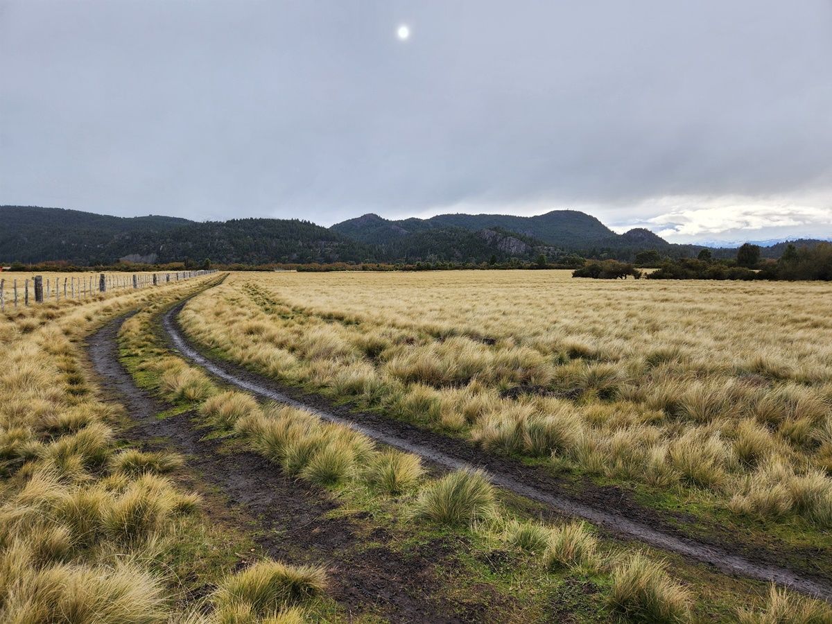 Campo EN VENTA